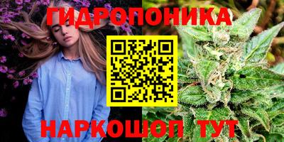 гашик Нарткала