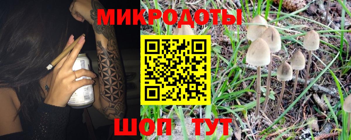 Псилоцибиновые грибы Psilocybe  Вход с VPN  Пыть-Ях 