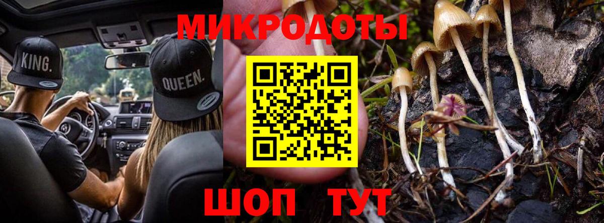 Псилоцибиновые грибы Cubensis Пыть-Ях